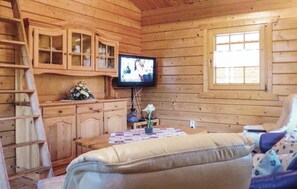 TV - 1 bedroom awesome home in Schlitz-Rimbach (Schlitz-Rimbach)