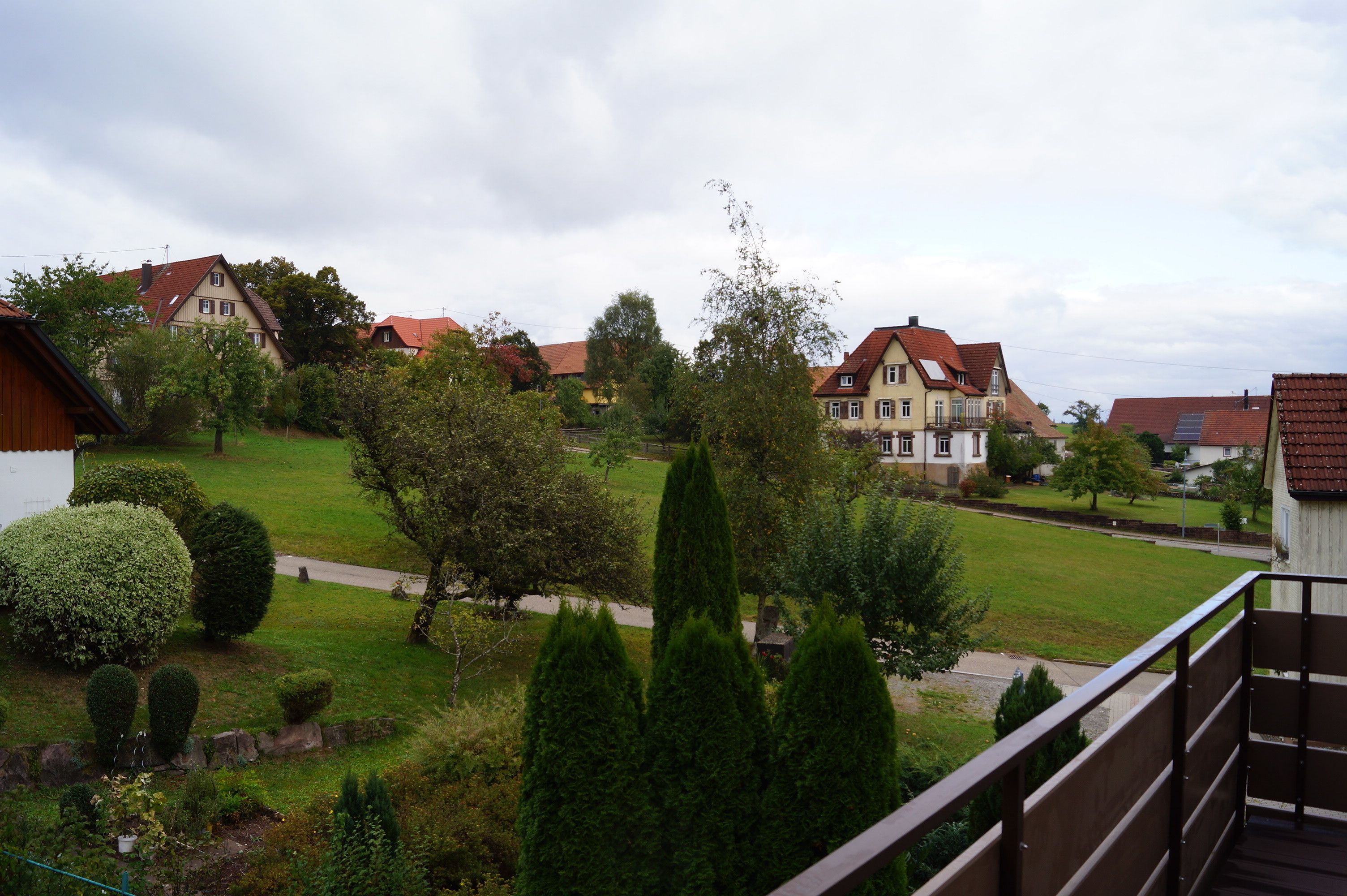 A residential area with houses, a well-maintained lawn, and a clear sky.