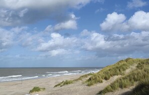 Playa en los alrededores y pesca 