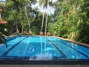 Une piscine entourée d’une végétation luxuriante et de chaises longues en bois.