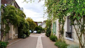 A narrow cobblestone street flanked by traditional stone buildings with green shutters and lush vegetation.