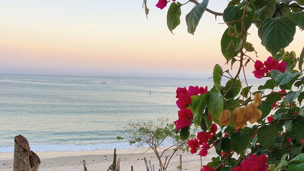 A beach path with a wooden fence and bougainvillea flowers. - Charming casa, 1 block to the beach- safe, quiet, excellent wifi, AC (Punta de Mita)