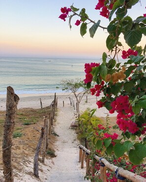 A beach path with a wooden fence and bougainvillea flowers. - Charming casa, 1 block to the beach- safe, quiet, excellent wifi, AC (Punta de Mita)