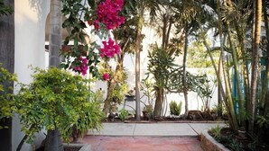 A courtyard with potted plants, a stone pathway, and a palm tree. - Charming casa, 1 block to the beach- safe, quiet, excellent wifi, AC (Punta de Mita)