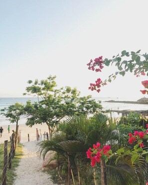Playa en los alrededores, camastros y toallas de playa 