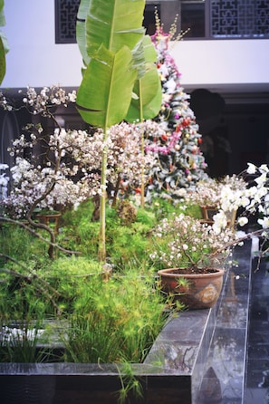 ห้องทรีทเมนท์สำหรับคู่รัก, ซาวน่า, ห้องอบไอน้ำ, ทรีทเมนท์ดูแลผิว