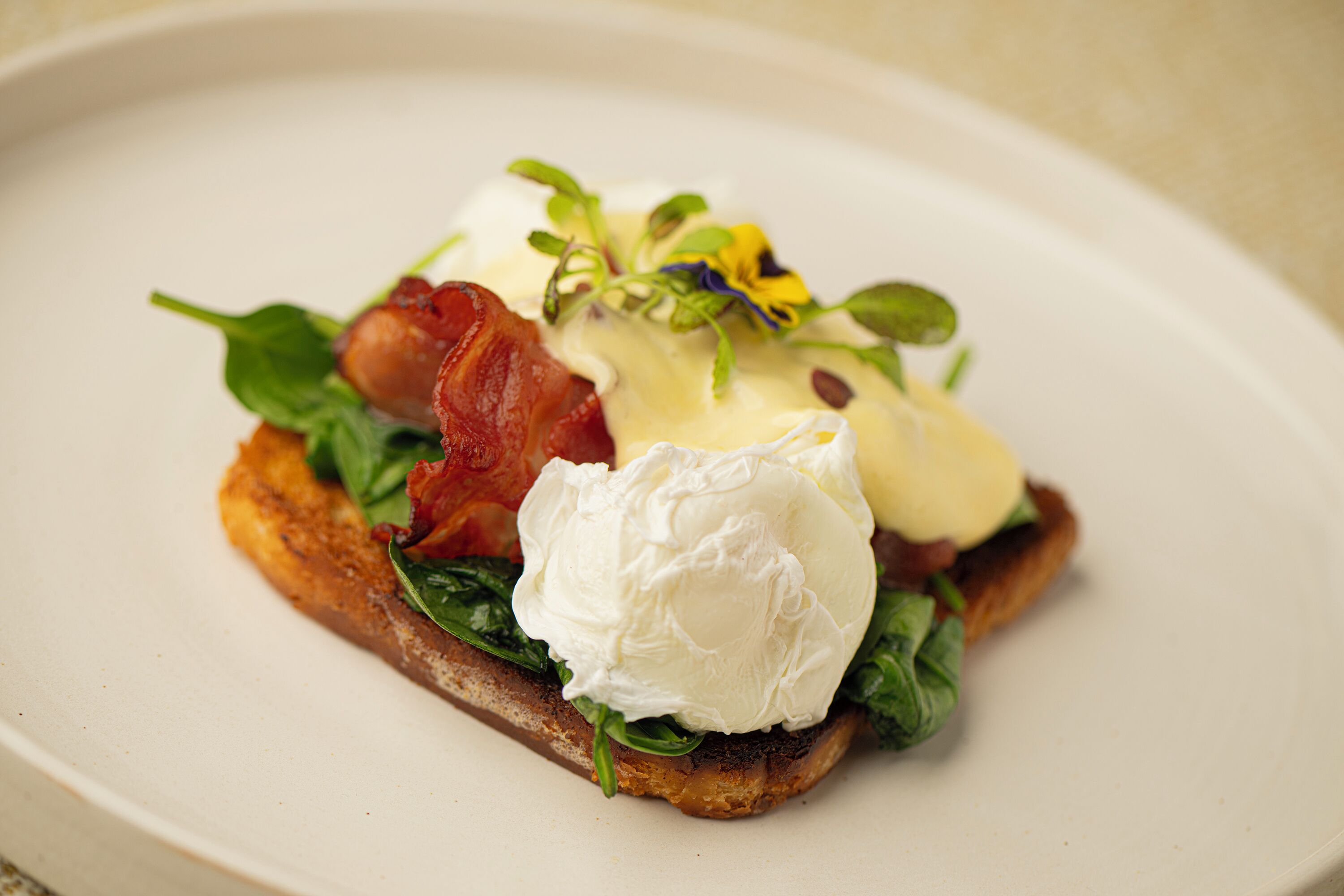 daily buffet breakfast (pln 60 per person)