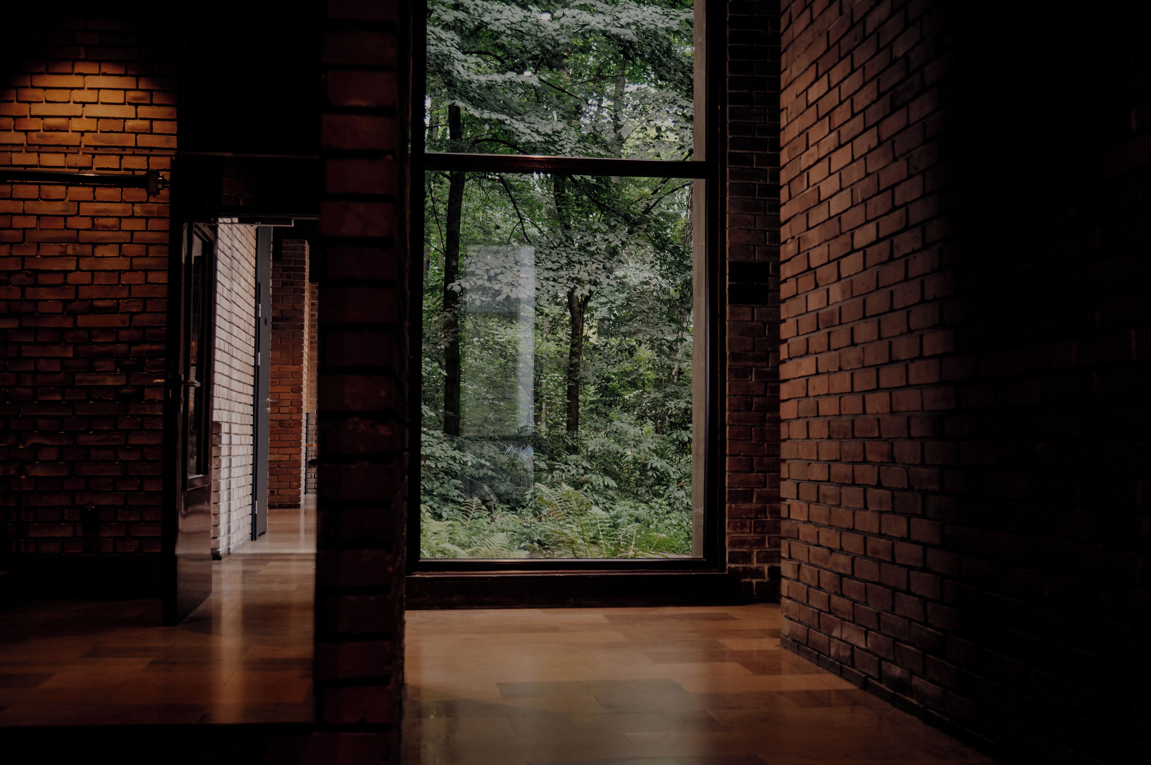 Photo - Forest Hotel