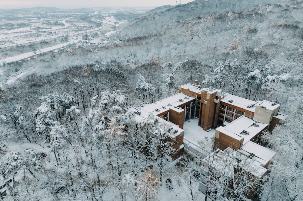 FOREST HOTEL