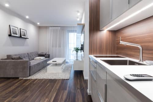 Deluxe Apartment | Private kitchenette | Fridge, microwave, stovetop, dishwasher