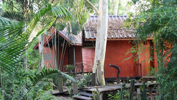A traditional wooden structure with a tiled roof, surrounded by dense tropical vegetation.