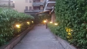 Un chemin bordé de verdure et un immeuble à plusieurs étages doté de balcons.