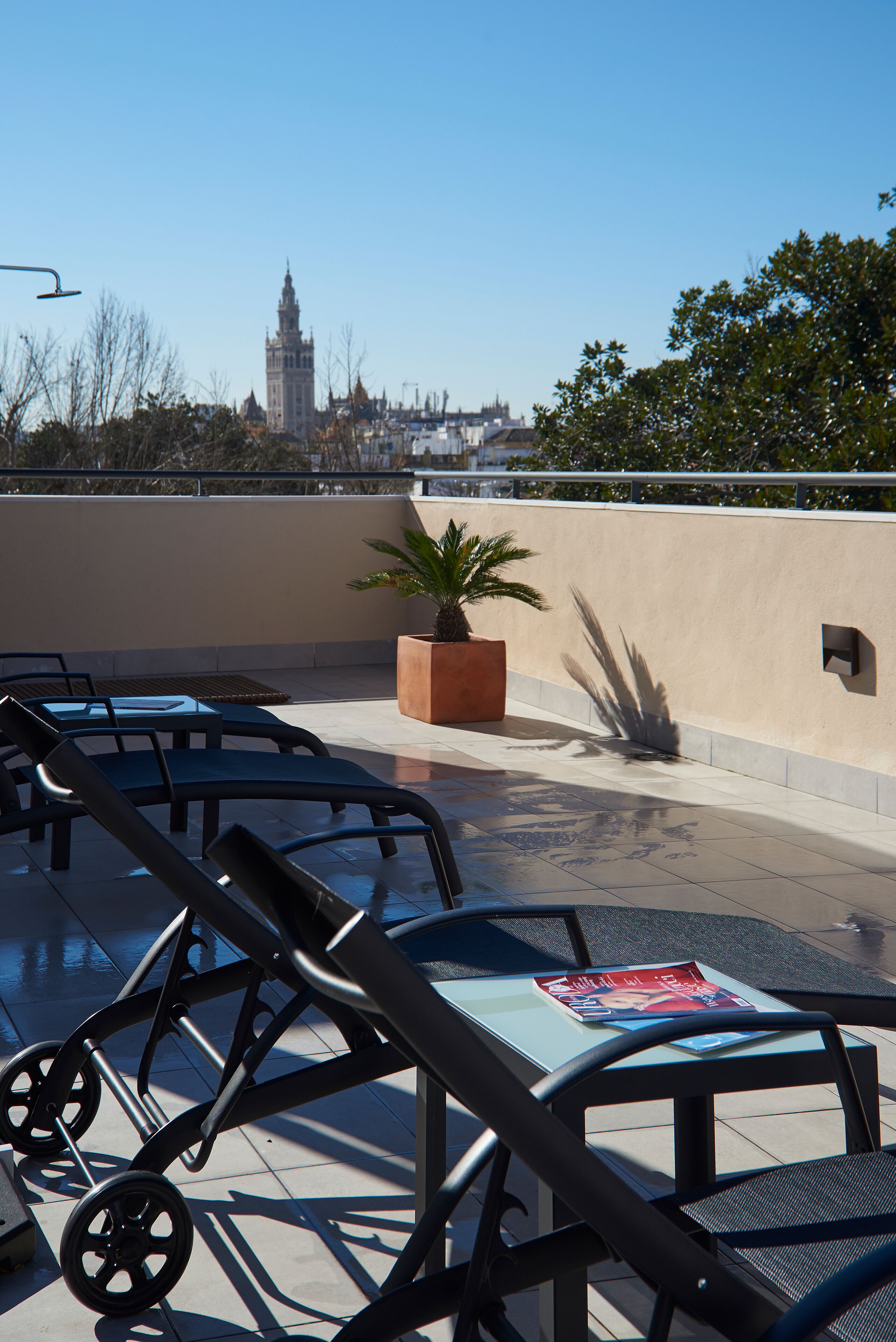 A rooftop terrace with lounge chairs, a potted palm plant, and a view of a historic building.