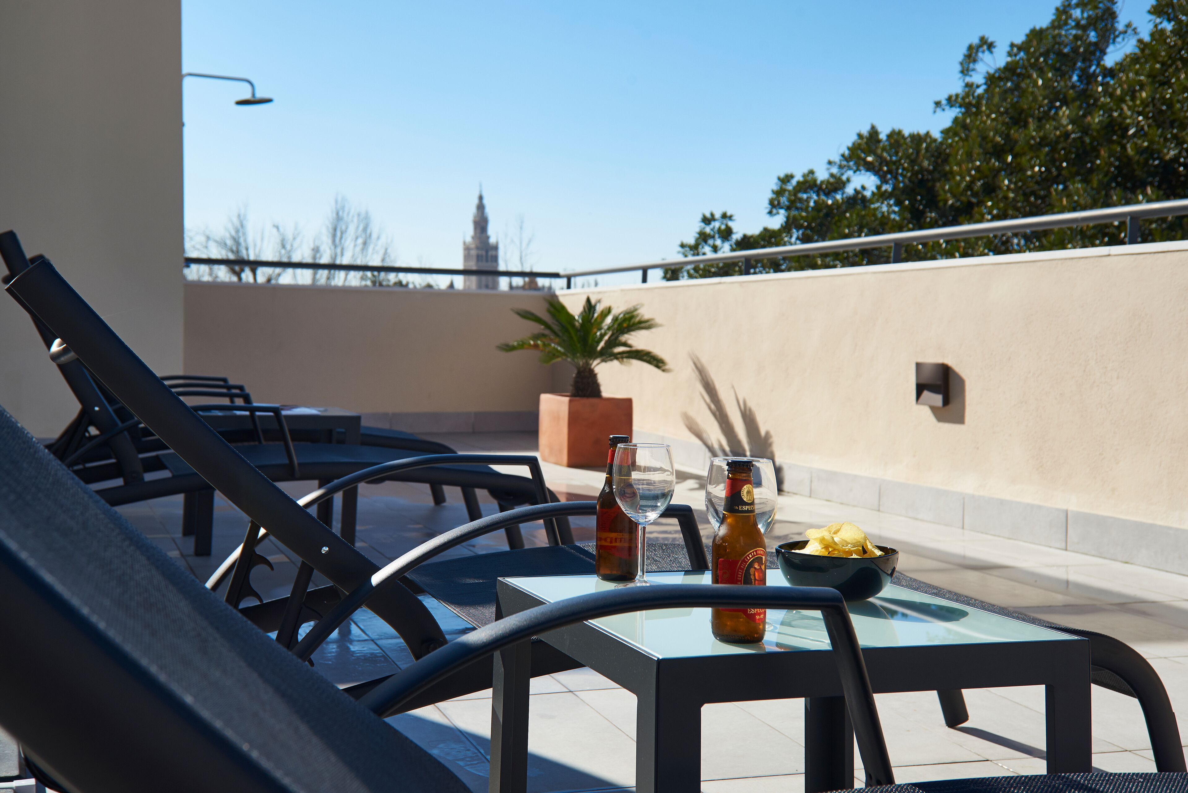 A rooftop terrace with lounge chairs, a table with a glass top, a potted plant, and bottles of beer.