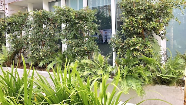 A modern building with large windows and a well-maintained garden with various plants. - Brand New Stunning Home with Garden (Brighton)