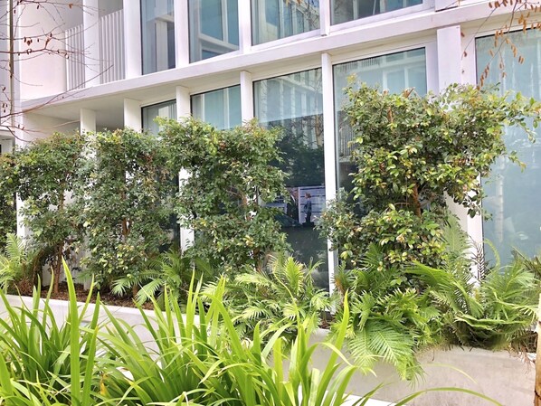 Property grounds - Brand New Stunning Home with Garden (Brighton)