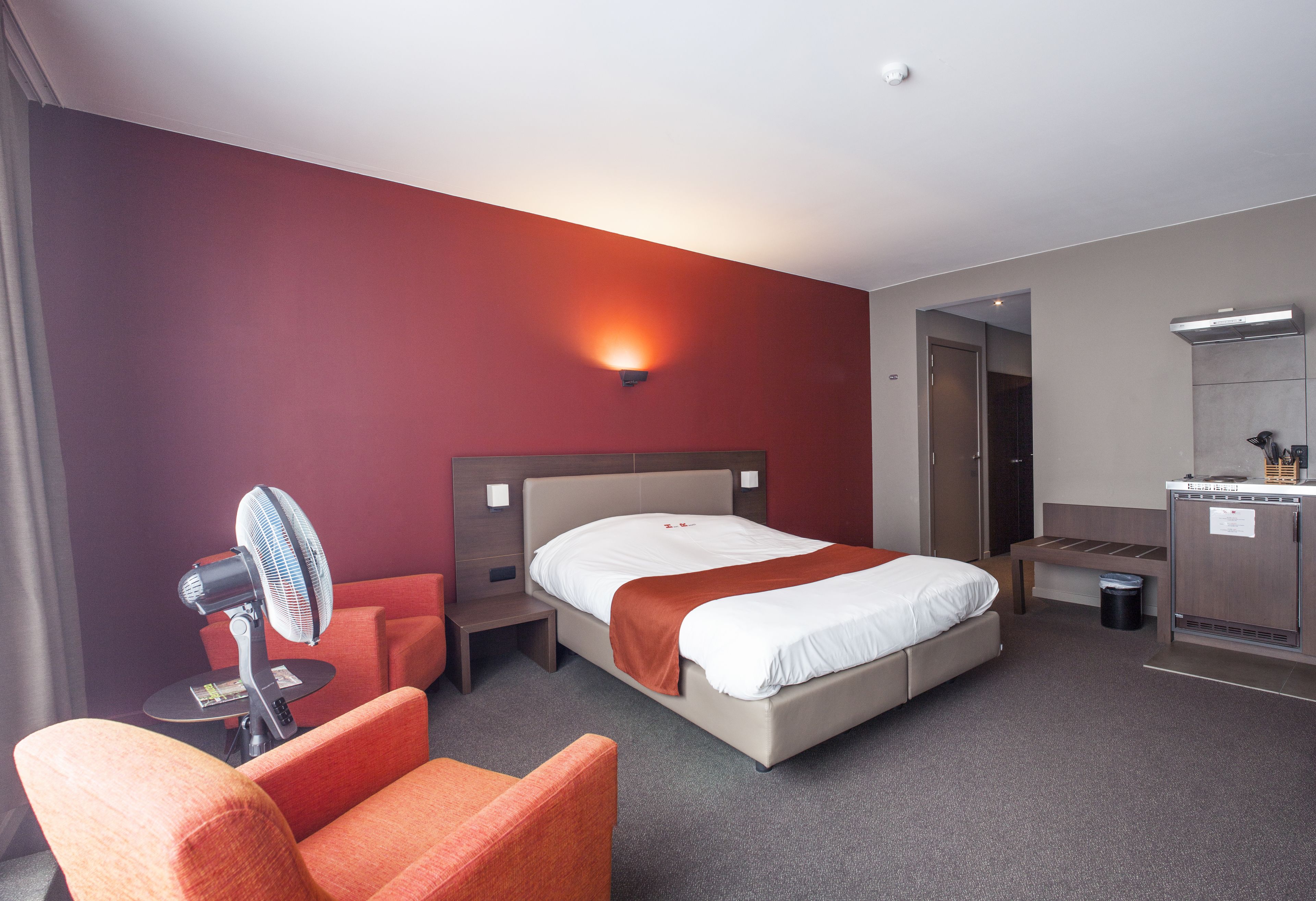 standard double room, 1 double bed | 1 bedroom, hypo-allergenic bedding, down duvets, minibar