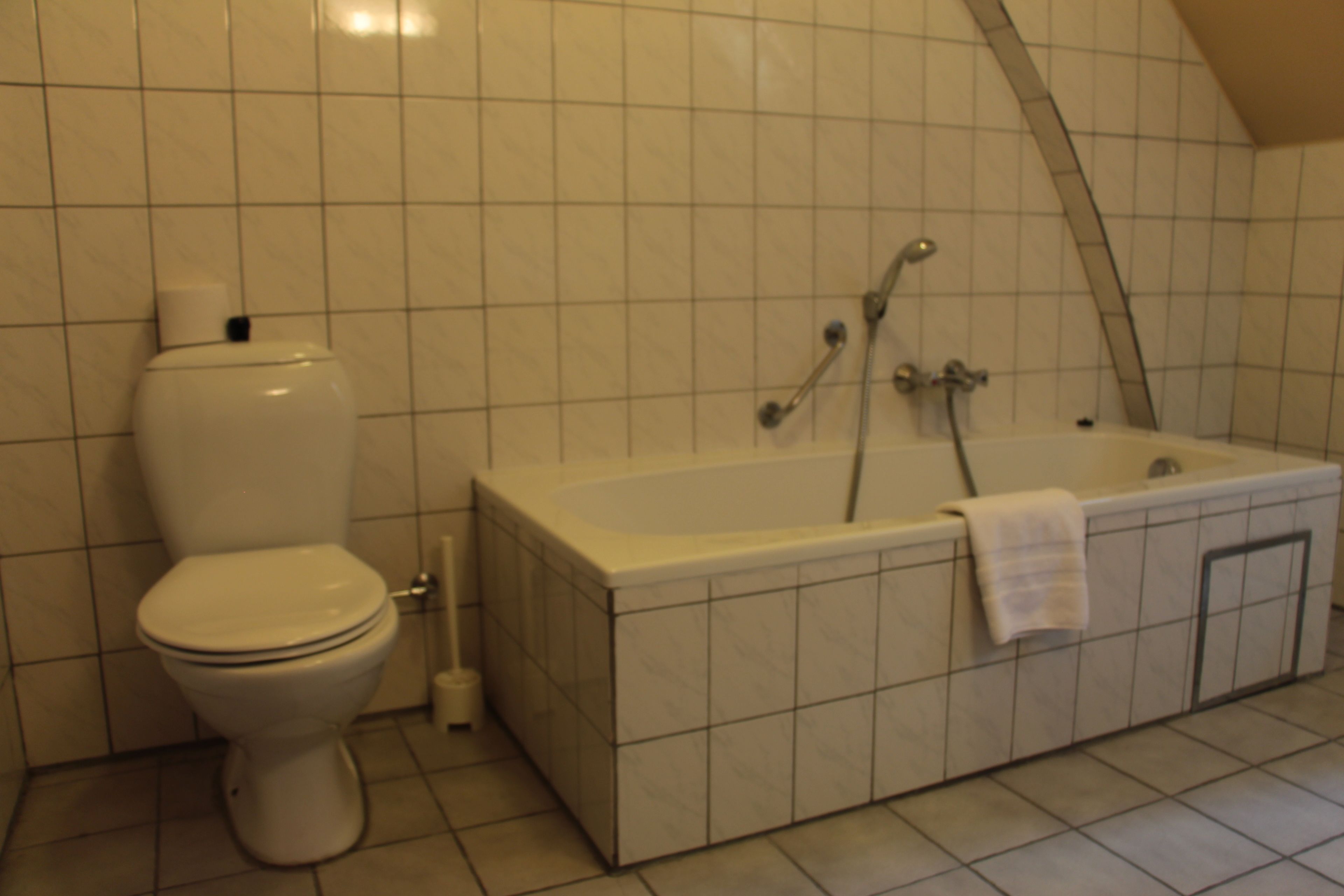 A bathroom with a toilet, a bathtub, and a shower.