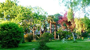 Ein gepflegter Garten mit verschiedenen Bäumen und Sträuchern, einer Rasenfläche und einem Metallstuhl.