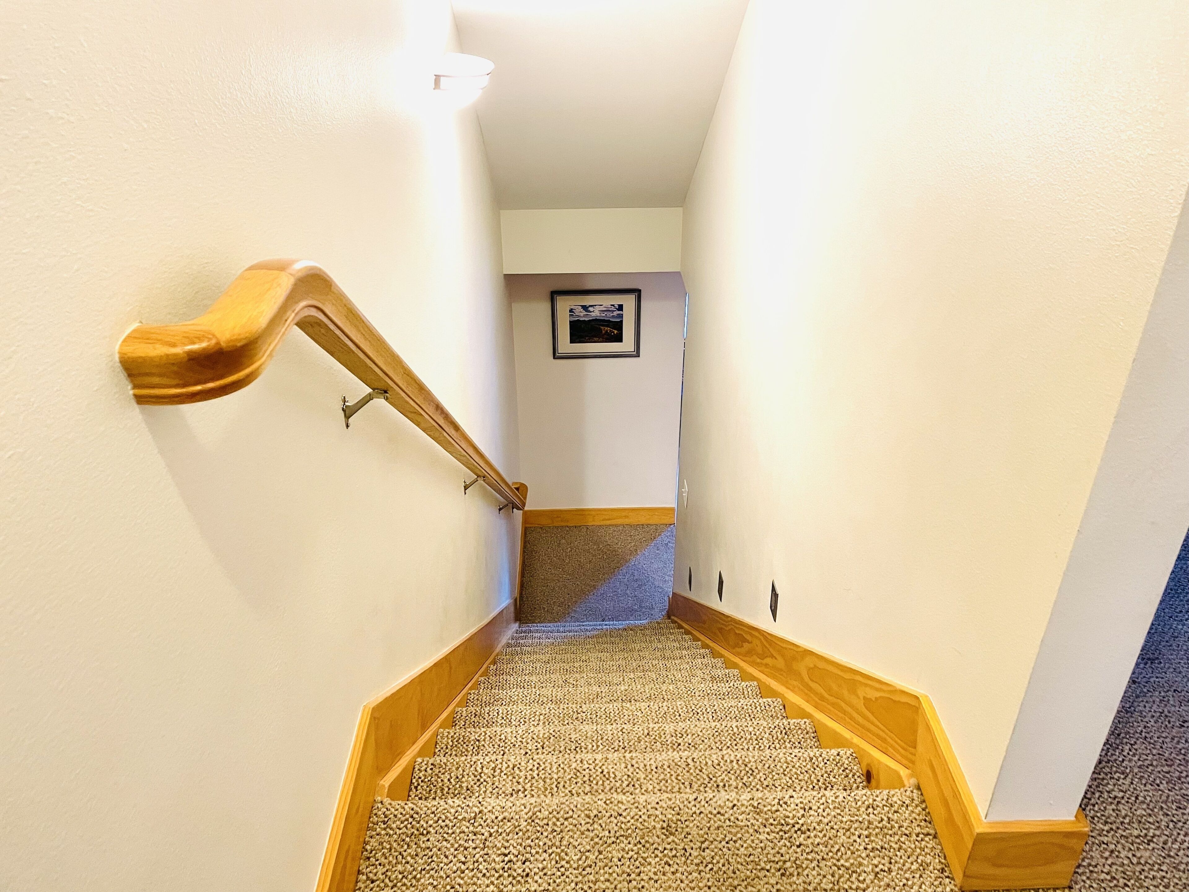 Un escalier recouvert de moquette, avec des rampes en bois et un cadre photo accroché au mur.