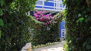 A stone pathway leading through a lush green archway with a building in the background. - Drymades Resort (Himarë)