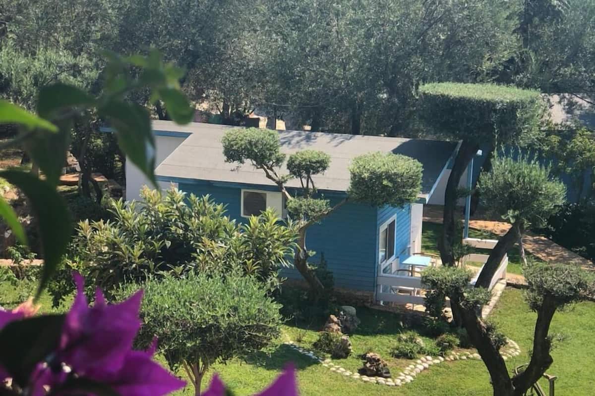 Una casa con fachada azul, rodeada de un jardín cuidado con diversos arbustos y césped.