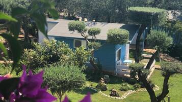 Habitación triple estándar | Wifi gratis y ropa de cama