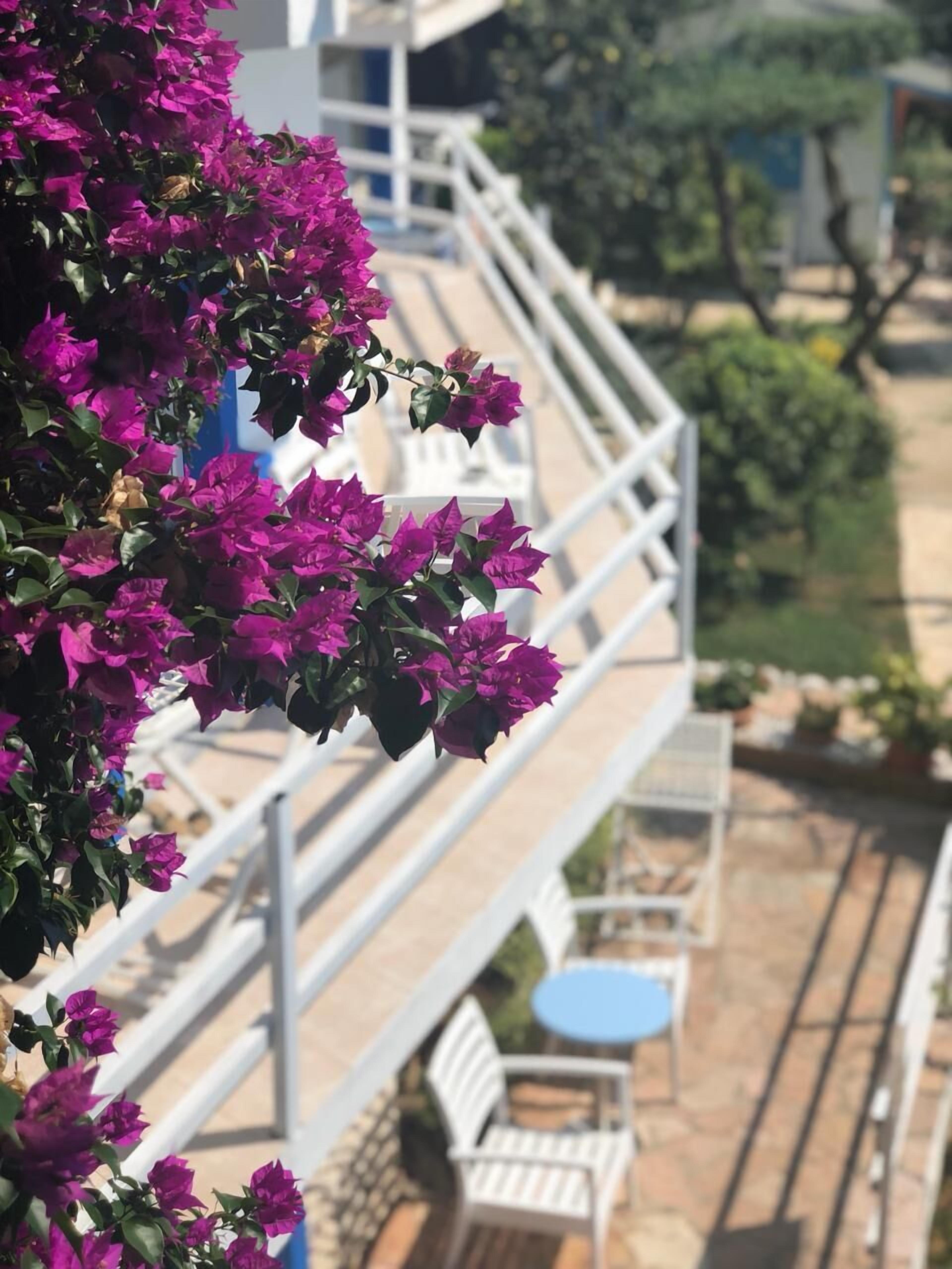 A balcony with white railings, a table, and chairs, overlooking a garden with bougainvillea flowers.