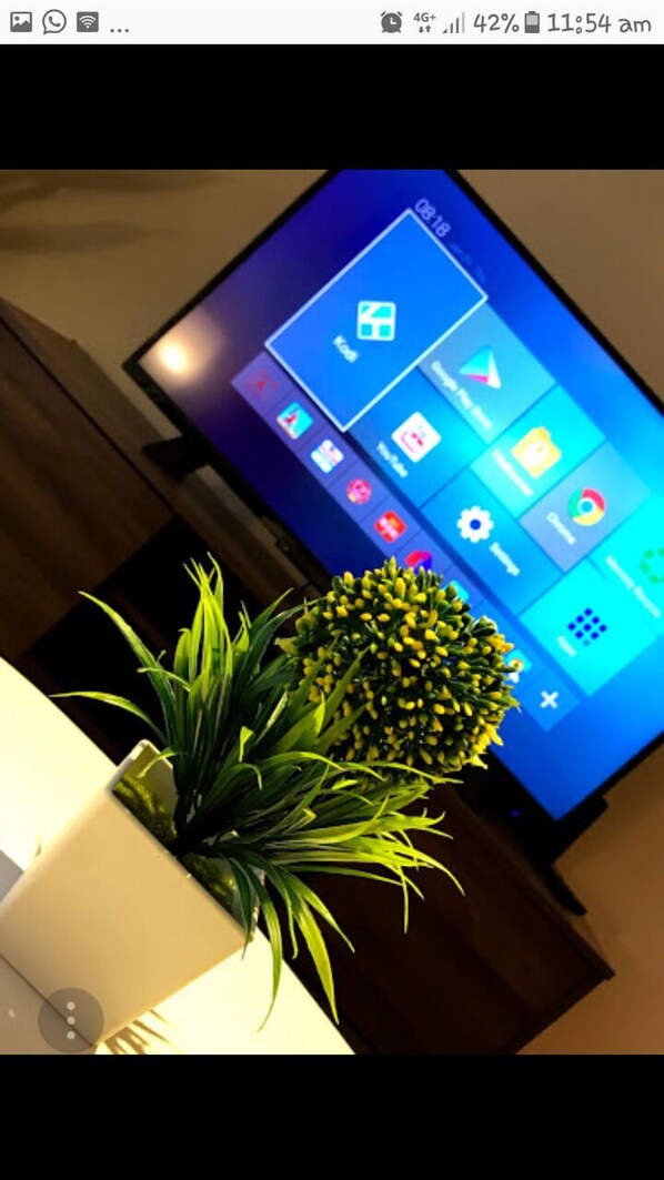 TV