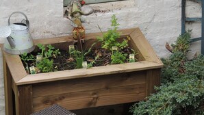 Een houten plantenbak met diverse planten, een metalen gieter en een raam met groene omlijsting.