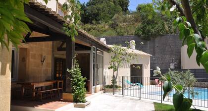 Character house with swimming pool