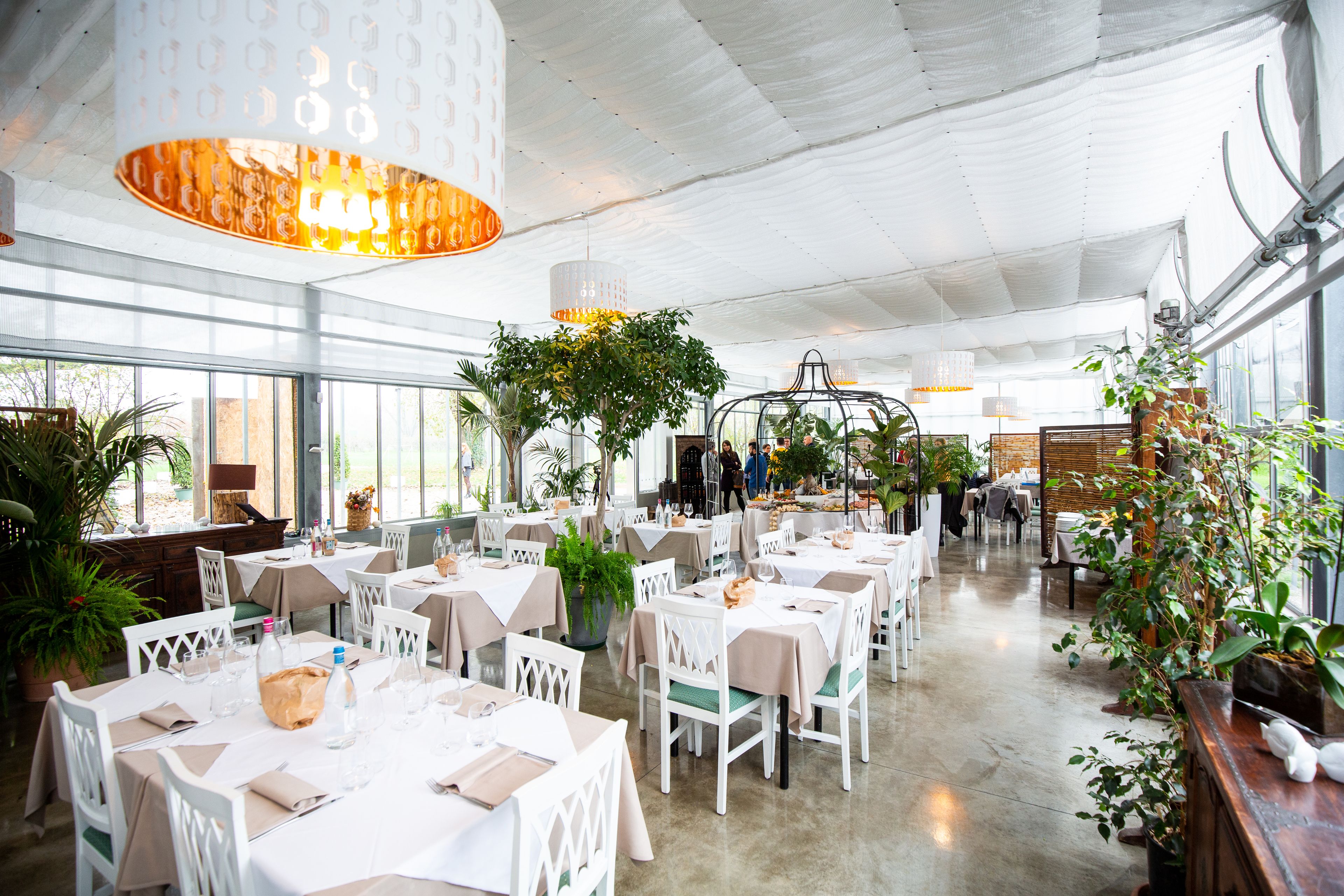 A spacious indoor dining area with tables and chairs, large windows, and hanging plants.