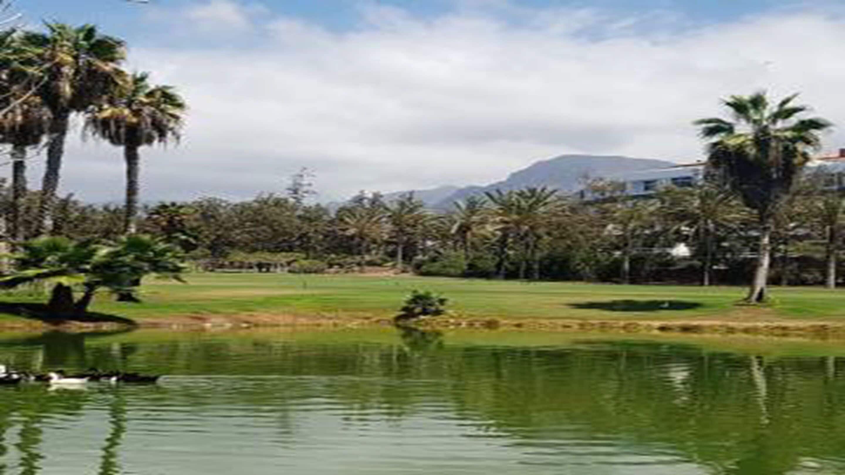 Ein Golfplatz mit Palmen, einem Teich und einem Berg im Hintergrund.