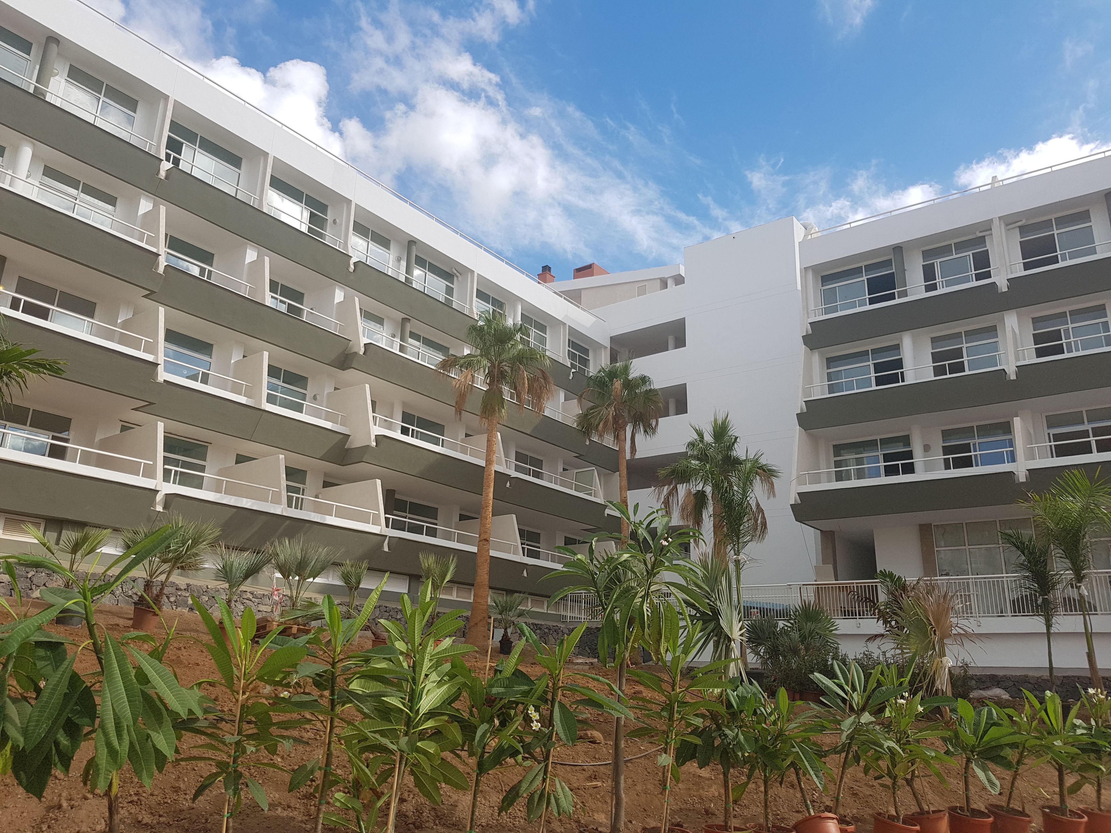 Un hotel de varios pisos con balcones, palmeras y plantas en macetas.