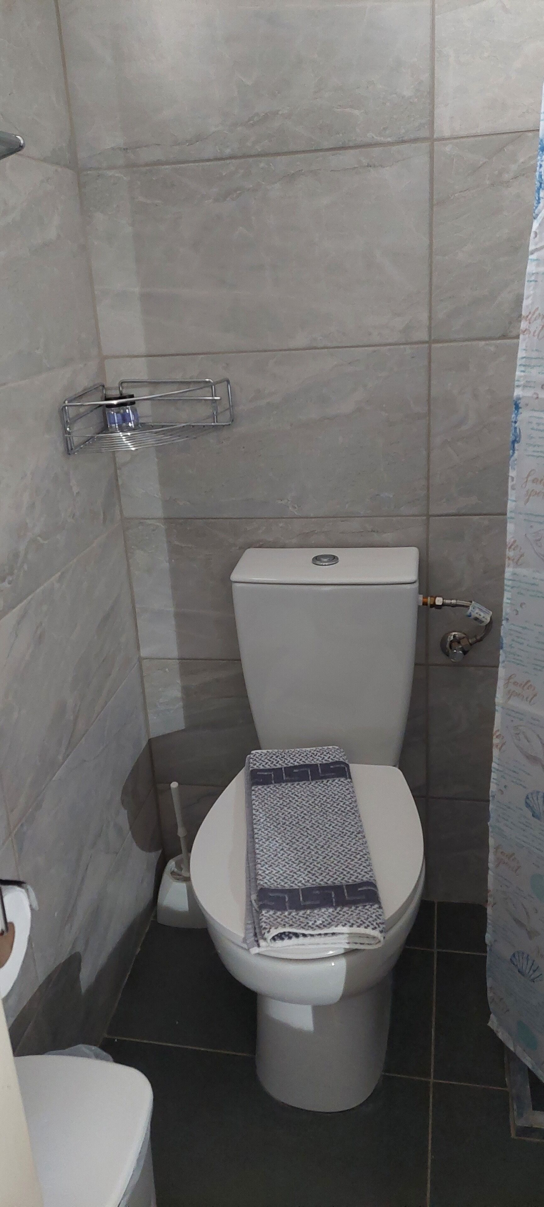 A bathroom with a toilet, a handrail, and a shower curtain.