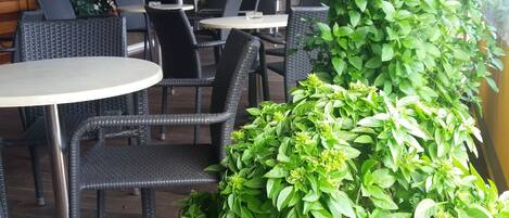 An outdoor seating area with round tables and chairs, surrounded by lush green plants.