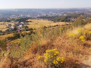 Esterni