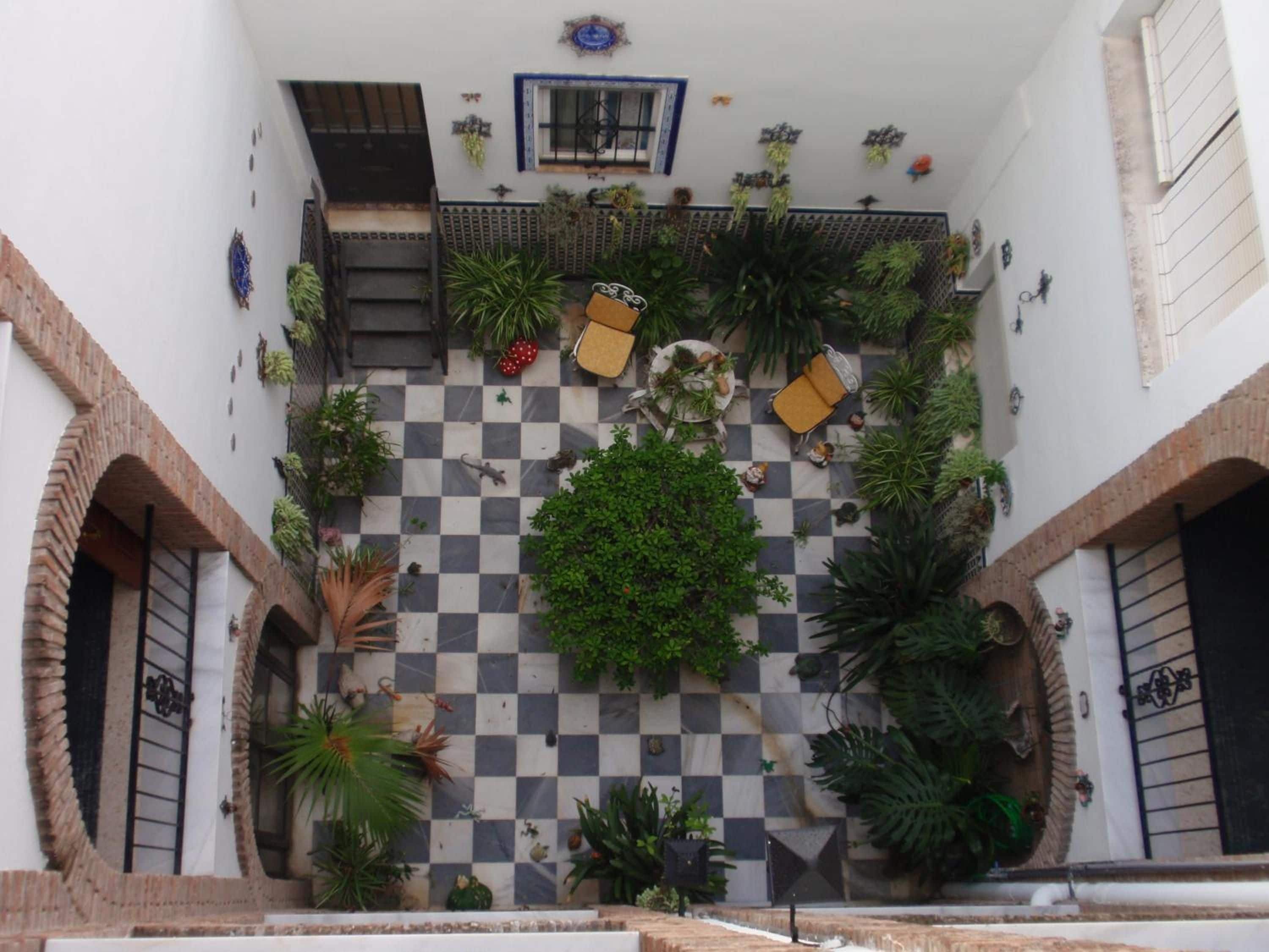 Un patio con suelo a cuadros, rodeado de plantas y una escalera que conduce a un nivel superior.