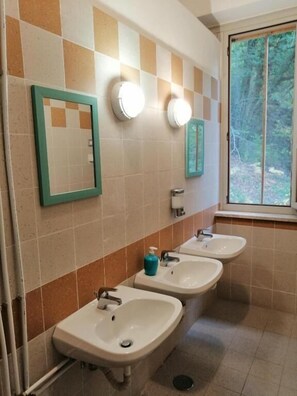 Een douche, gratis toiletartikelen, een haardroger, handdoeken