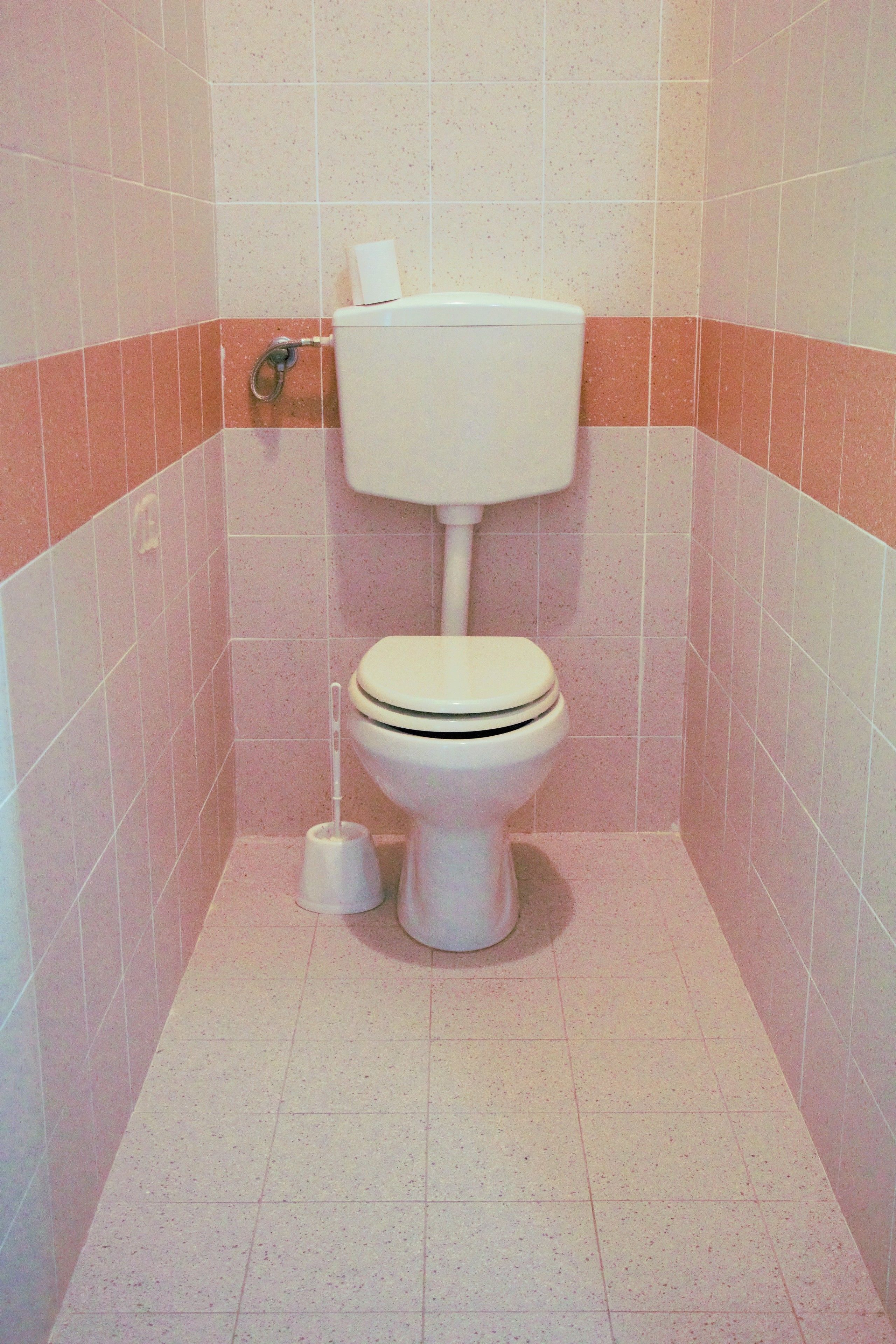 Un baño pequeño con azulejos, que incluye un inodoro, un bidé y un dispensador de papel higiénico.