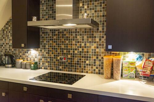 Luxury Apartment | Private kitchen | Fridge, microwave, oven, stovetop