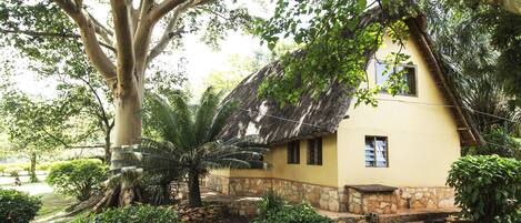 A house with a thatched roof, surrounded by lush greenery and a large tree.