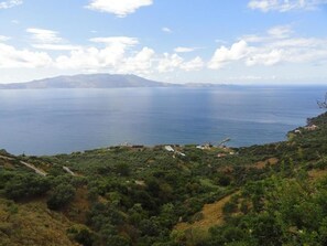 Vista desde la propiedad
