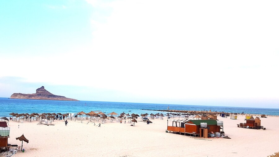 ダール サイダネ