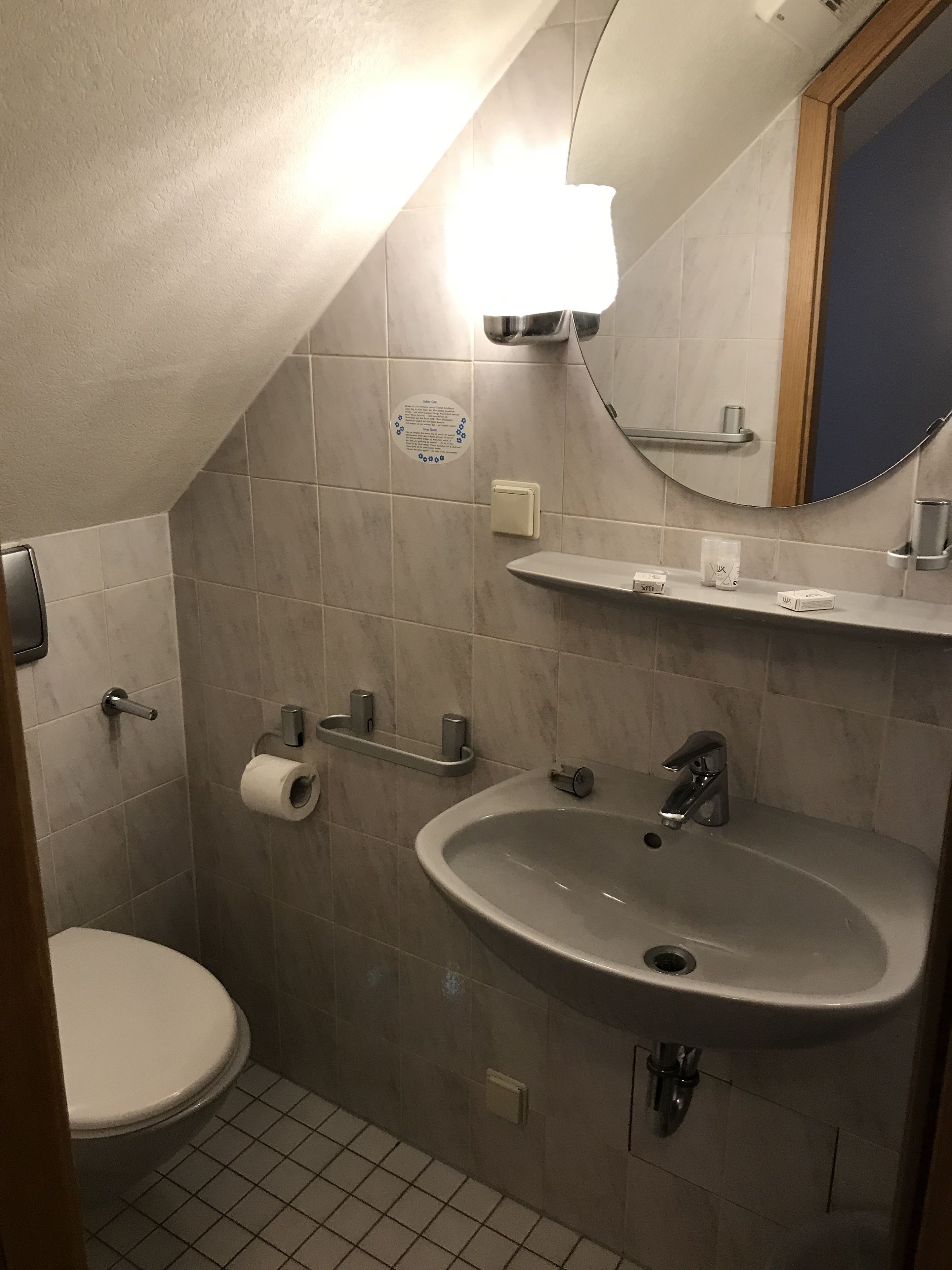 Een kleine badkamer met toilet, wastafel en spiegel.