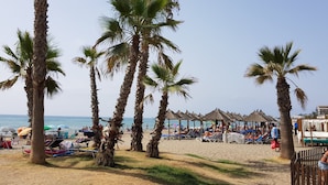 Een strand met palmbomen, ligbedden en strandparasols.