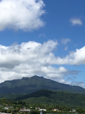 Magnificent el Yunque Rain Forest View from Balcony