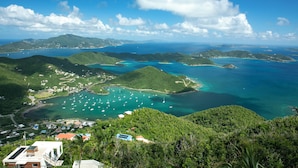 A coastal landscape with clear blue waters, green hills, and a marina with boats. - The Crown Jewel of Calichi (St. John)