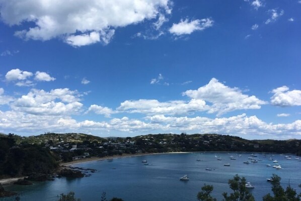 Uma cidade costeira com uma baía cheia de barcos, rodeada por colinas e casas.