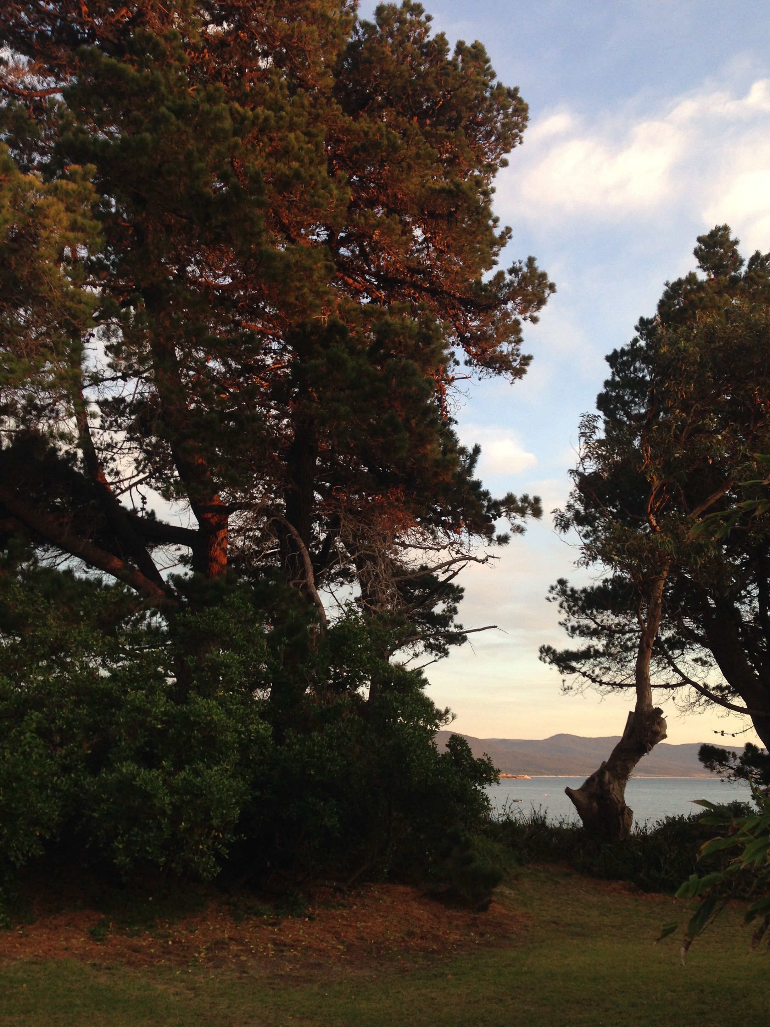 Bicheno Beach House  — image 21